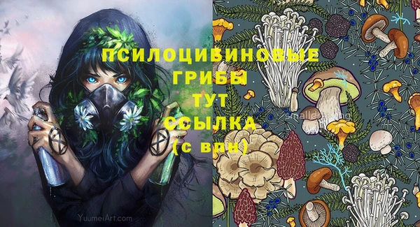 COCAINE Белокуриха